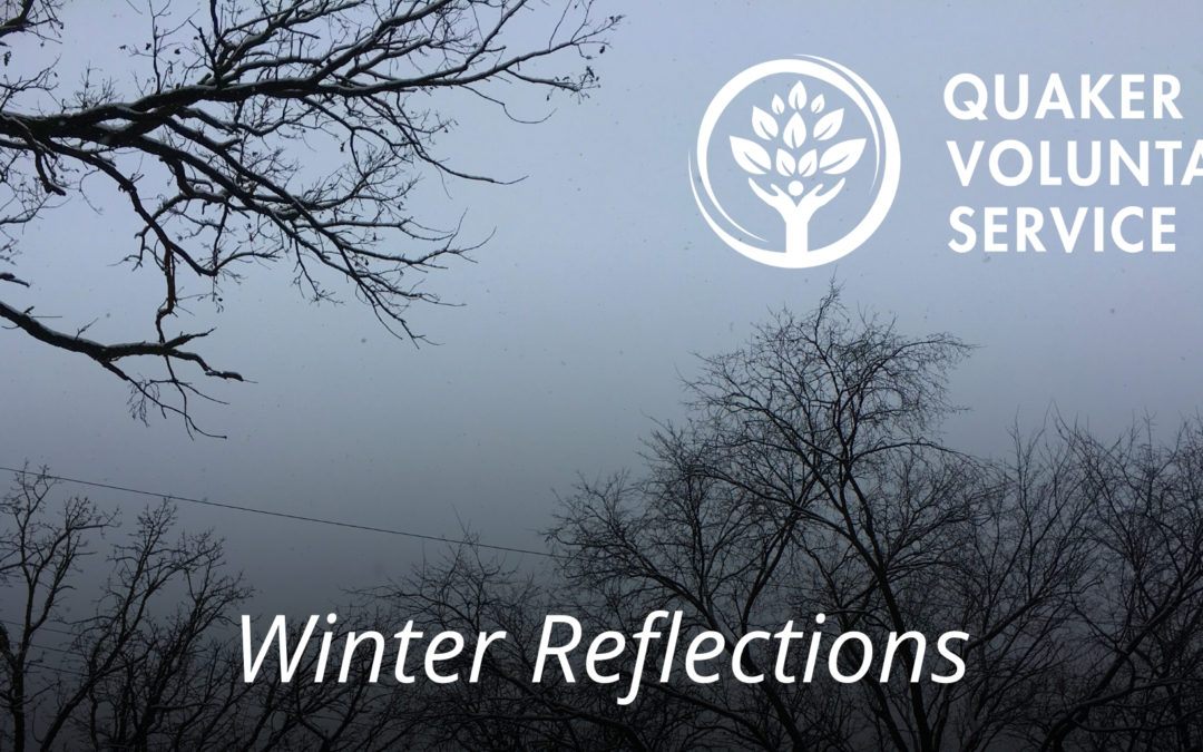 Mid-winter Reflections on the “Arc of the Year”
