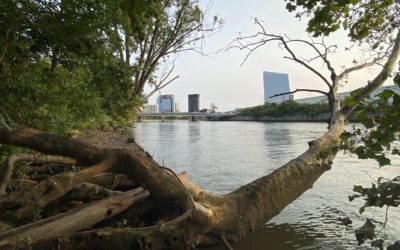 Waiting for God at the Schuylkill River